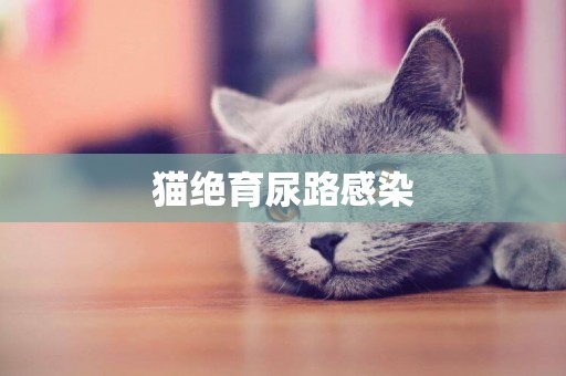 猫绝育尿路感染